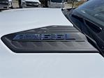 2024 Chevrolet Silverado 3500 Double Cab 4x2, Utility for sale #M24258 - photo 10