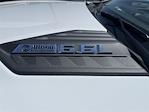 2024 Chevrolet Silverado 2500 Double Cab 4x2, Royal Truck Body Service Body Utility for sale #M24310 - photo 10