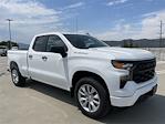 2024 Chevrolet Silverado 1500 Double Cab 4x2, Pickup for sale #M24440 - photo 6