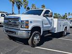 Used 2020 Chevrolet Silverado 5500 Work Truck Regular Cab 4WD, Cab Chassis for sale #LH629021 - photo 8