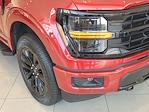 New 2024 Ford F-150 XLT SuperCrew Cab 4x4, Pickup for sale #RFA03868 - photo 4