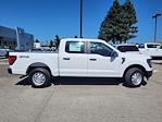 New 2024 Ford F-150 XL SuperCrew Cab 4x4, Pickup for sale #RKD16219 - photo 5