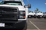 New 2023 Chevrolet Silverado 6500 Work Truck Regular Cab 4x2, 12' Scelzi SCTFB Contractor Truck for sale #3230071 - photo 9