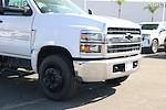 2024 Chevrolet Silverado 5500 Regular Cab DRW 4x2, Contractor Truck for sale #3240660 - photo 6