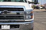 2024 Chevrolet Silverado 5500 Regular Cab DRW 4x2, Scelzi Signature Service Truck for sale #3240691 - photo 5