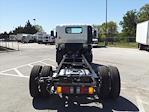 2024 Chevrolet LCF 4500HG Regular Cab RWD, Cab Chassis for sale #242422 - photo 8