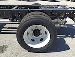 2024 Chevrolet LCF 4500HG Regular Cab RWD, Cab Chassis for sale #242423 - photo 9