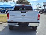 2017 Ford F-150 SuperCrew Cab RWD, Pickup for sale #242425B1 - photo 6