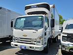 2024 Chevrolet LCF 5500XD Regular Cab RWD, Refrigerated Body for sale #C245949 - photo 4