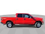 Used 2013 Ford F-150 King Ranch SuperCrew Cab 4WD, Pickup for sale #244450A - photo 9