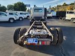 2024 Chevrolet LCF 5500XG Regular Cab RWD, Cab Chassis for sale #248160 - photo 2