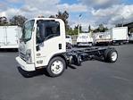 New 2024 Chevrolet LCF 5500XD Regular Cab RWD, Cab Chassis for sale #248171 - photo 1
