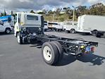 New 2024 Chevrolet LCF 5500XD Regular Cab RWD, Cab Chassis for sale #248171 - photo 2