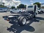 New 2024 Chevrolet LCF 5500XD Regular Cab RWD, Cab Chassis for sale #248171 - photo 8