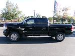 New 2024 Ram 2500 Big Horn Crew Cab 4x4, Pickup for sale #19825 - photo 5