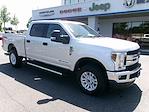 2019 Ford F-250 Crew Cab SRW 4WD, Pickup for sale #48039 - photo 3