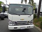 2024 Chevrolet LCF 5500XG Regular Cab DRW 4x2, Cab Chassis for sale #240139 - photo 3