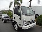 2024 Chevrolet LCF 5500XG Regular Cab DRW 4x2, Cab Chassis for sale #240139 - photo 1