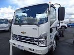 2024 Chevrolet LCF 5500XD Regular Cab 4x2, Cab Chassis for sale #240653 - photo 1