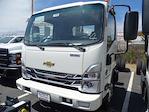 2024 Chevrolet LCF 5500XD Regular Cab 4x2, Cab Chassis for sale #240769 - photo 1