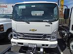 2024 Chevrolet LCF 5500XD Regular Cab 4x2, Cab Chassis for sale #240769 - photo 2