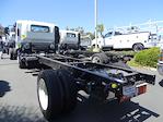 New 2024 Chevrolet LCF 5500XD Regular Cab 4x2, Cab Chassis for sale #240774 - photo 2