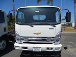 2024 Chevrolet LCF 5500XD Regular Cab 4x2, Cab Chassis for sale #240856 - photo 3