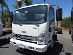 2024 Chevrolet LCF 5500XD Regular Cab 4x2, Cab Chassis for sale #240857 - photo 1