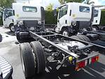 2024 Chevrolet LCF 5500XD Regular Cab 4x2, Cab Chassis for sale #240872 - photo 2