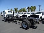 2024 Chevrolet LCF 5500XD Regular Cab 4x2, Cab Chassis for sale #240874 - photo 2