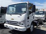 2024 Chevrolet LCF 5500XD Regular Cab 4x2, Cab Chassis for sale #241127 - photo 1