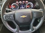 2024 Chevrolet Silverado 1500 Double Cab 4x2, Pickup for sale #C2958R - photo 23