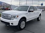 Used 2014 Ford F-150 Platinum SuperCrew Cab 4x4, Pickup for sale #19743B - photo 7