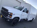 New 2023 Chevrolet Silverado 5500 Work Truck Regular Cab 4x2, Service Truck for sale #CV00699 - photo 3