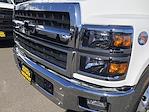 New 2023 Chevrolet Silverado 5500 1LT Regular Cab 4x2, 12' Scelzi CTFB Contractor Truck for sale #CV00711 - photo 5