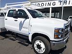 2023 Chevrolet Silverado 5500 Crew Cab DRW 4x2, Scelzi Signature Service Truck for sale #CV00827 - photo 5