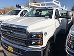 New 2023 Chevrolet Silverado 5500 Work Truck Regular Cab 4x2, Scelzi Signature Service Truck for sale #CV00877 - photo 6