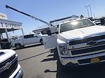 New 2023 Chevrolet Silverado 5500 Work Truck Regular Cab 4x2, Scelzi Signature Mechanics Body for sale #CV00900 - photo 38