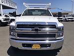 New 2023 Chevrolet Silverado 5500 Work Truck Crew Cab 4x2, Scelzi CTFB Contractor Truck for sale #CV00918 - photo 19