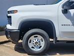 2024 Chevrolet Silverado 2500 Regular Cab 2WD, Knapheide Steel Service Body Service Truck for sale #CF1886 - photo 5