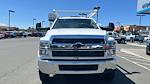 New 2023 Chevrolet Silverado 5500 Work Truck Crew Cab RWD, Knapheide Contractor Body Contractor Truck for sale #FCC23919 - photo 3