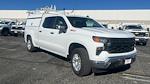 New 2024 Chevrolet Silverado 1500 Work Truck Crew Cab 4WD, Pickup for sale #FCC24208 - photo 1