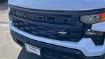 2024 Chevrolet Silverado 1500 Double Cab 4WD, Pickup for sale #FCC24829 - photo 9