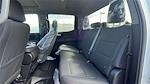 2024 Chevrolet Silverado 1500 Crew Cab 4WD, Pickup for sale #FCC24903 - photo 20