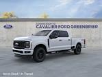 2024 Ford F-250 Crew Cab SRW 4x4, Pickup for sale #G240418 - photo 3