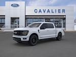 2024 Ford F-150 SuperCrew Cab 4x4, Pickup for sale #G240527 - photo 3