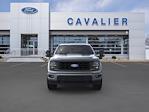 2024 Ford F-150 Super Cab 4x4, Pickup for sale #G240724 - photo 6