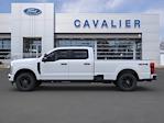 2024 Ford F-350 Crew Cab SRW 4x4, Pickup for sale #G241355 - photo 4