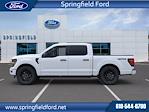 2024 Ford F-150 SuperCrew Cab 4x4, Pickup for sale #7Z0332 - photo 8