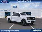 2024 Ford F-150 SuperCrew Cab 4x4, Pickup for sale #7Z0332 - photo 13